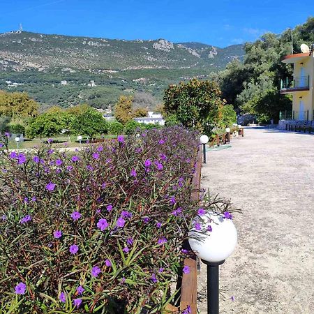 Villa Perkemes Apartments Parga Luaran gambar